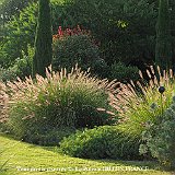 bassin en ardoise au jardin contemporain